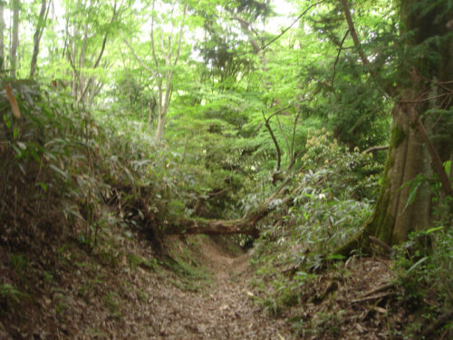山歩き
