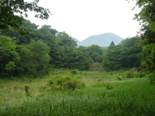 Dsc00482 小田地区