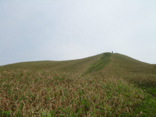 子三瓶山へ