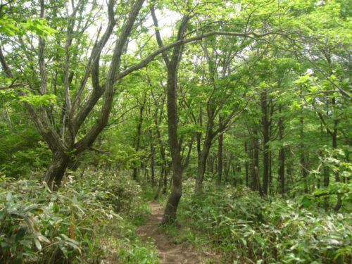 Dsc00540 奥の湯峠