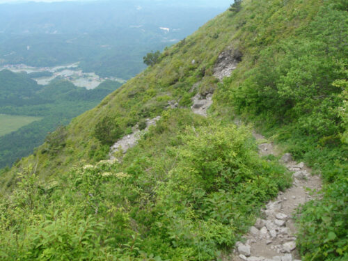 Dsc00584 下り道