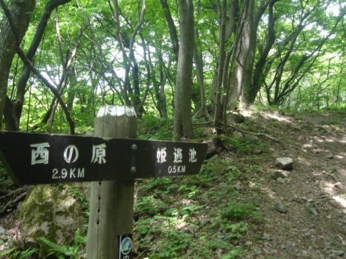 Dsc00593 道しるべ