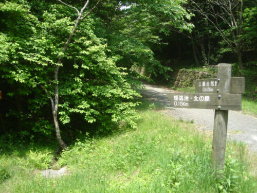Dsc00595 道しるべ