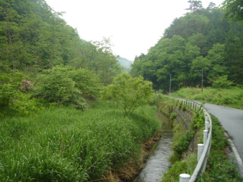 Dsc00618 藤木谷