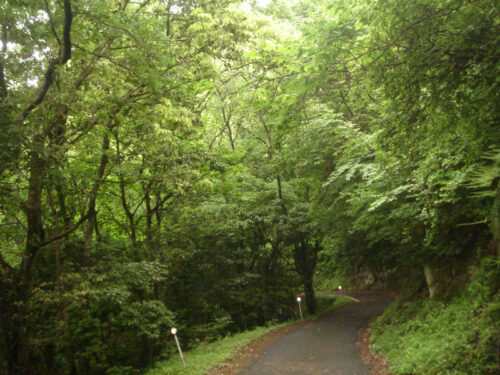 県道大社-立久恵線