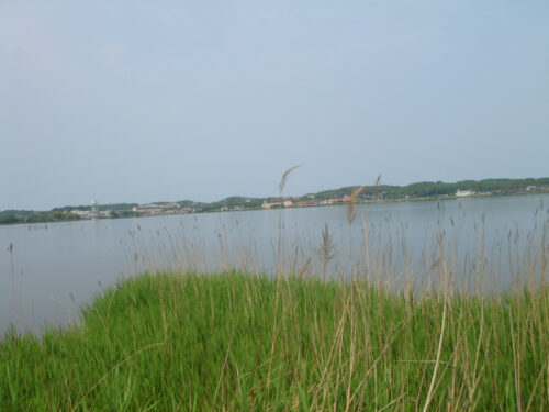 Dsc00758 神西湖