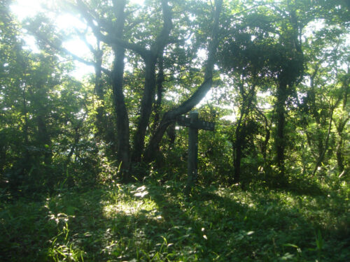 山中