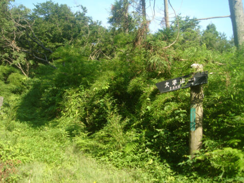 澄水山への道しるべ