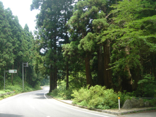 Dsc01450 国道