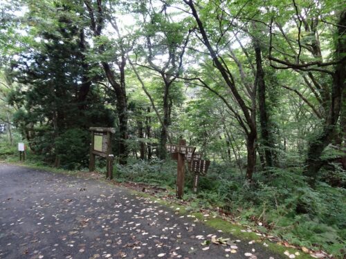 Dsc00132 川床道の入口