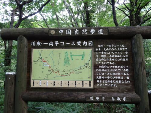 案内板