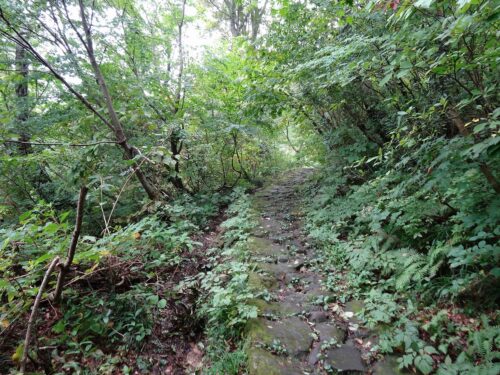 Dsc00152 石畳道