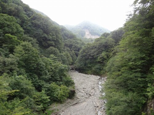 大山のつり橋から