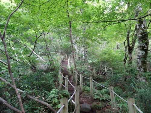 Dsc00190 最後の急な登り