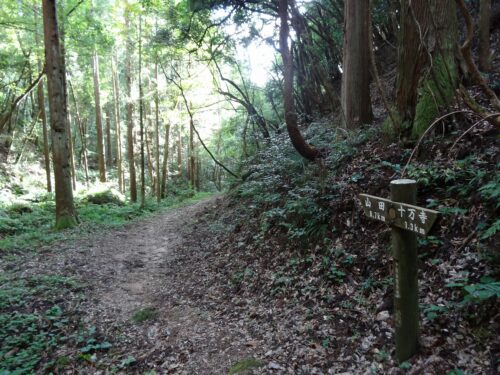 Dsc00297 山歩道を行く