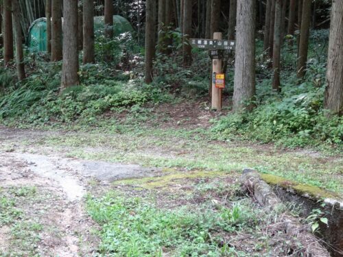 Dsc00298 山歩道を行く