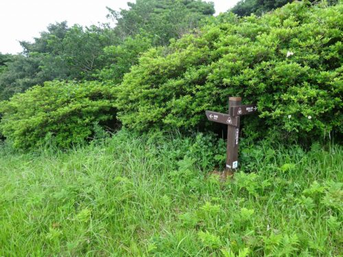 道しるべ