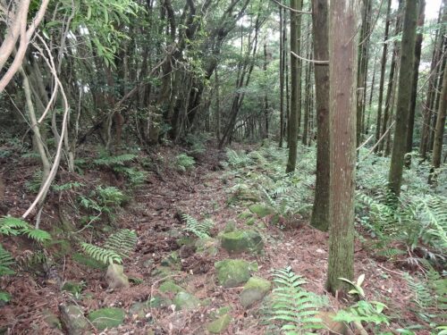 Dsc03198 山歩き