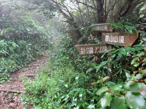 Dsc04576 キトク橋ルートへの道しるべ