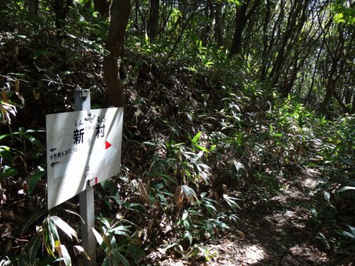 Dsc04664 新村への分れ