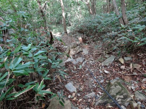 Dsc04690 キトク橋への下り