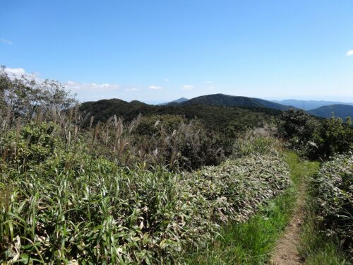 Dsc04789 井原山への縦走路