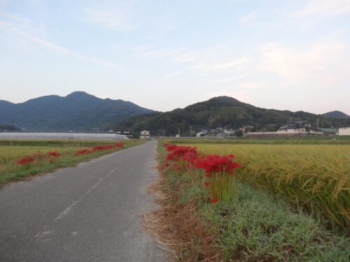 十坊山とんぼやま