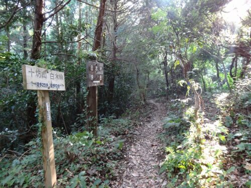 Dsc04870 十坊山からの下り