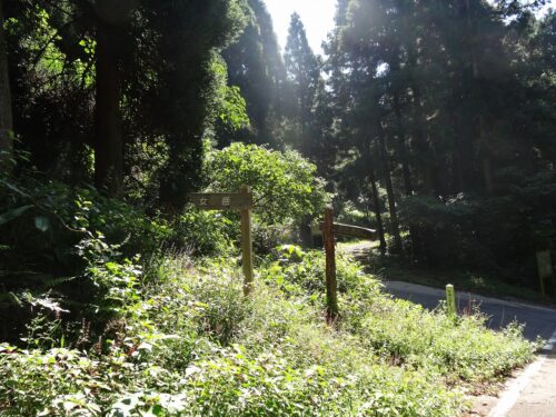 Dsc04902 荒谷峠(542m)