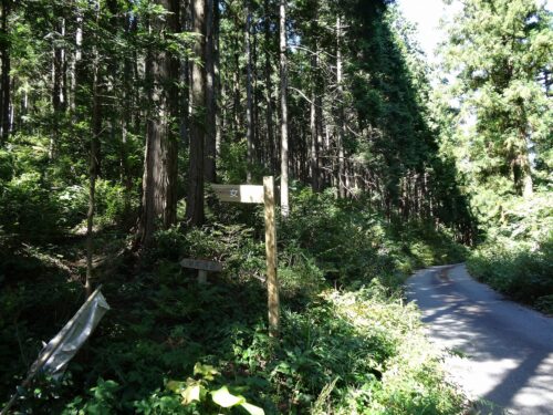 Dsc04916 女岳への道しるべ
