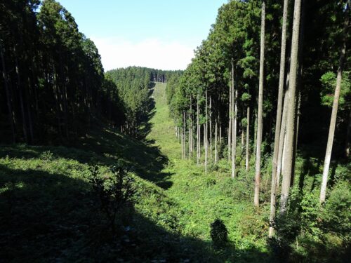 防火帯