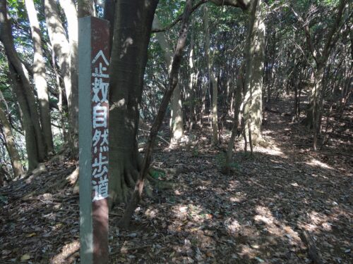 Dsc05088 道しるべ