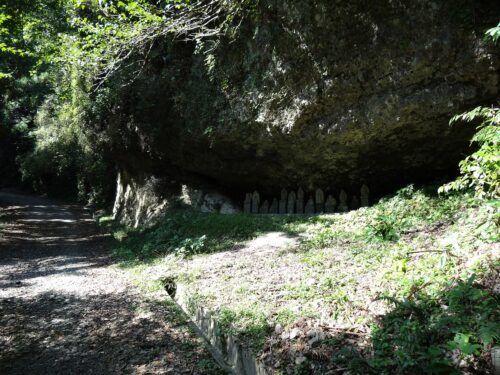 Dsc05153 林道/菩薩