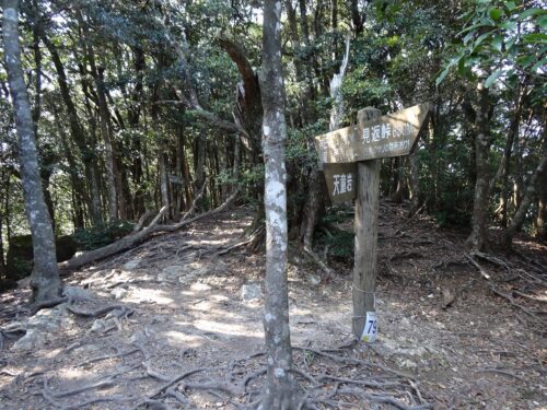 Dsc05198 道しるべ