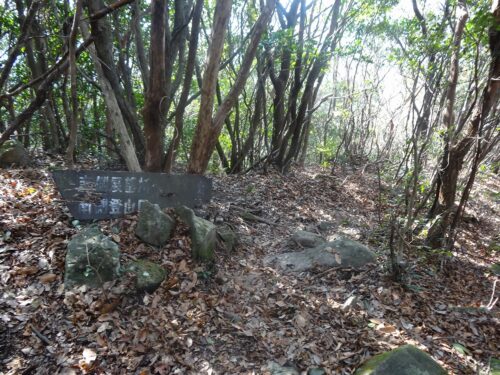 Dsc06525 下り道