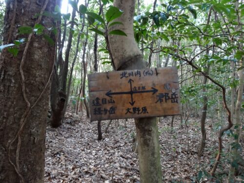 Dsc06575 遠目越