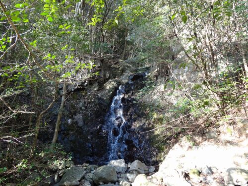 Dsc06625 郡川の源流
