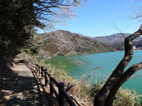おしどりの池