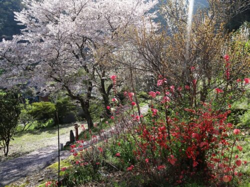 Dsc07004 井樋の尾地区