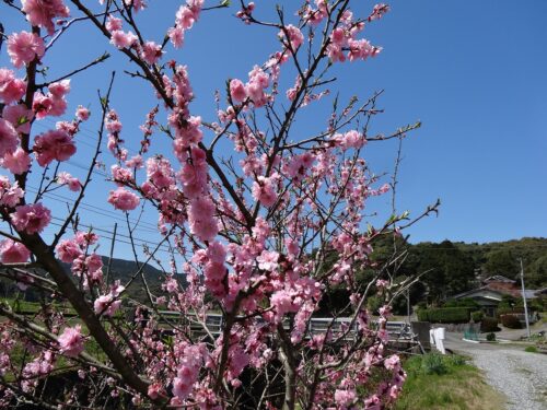 Dsc07061 土師野尾(はじのお)地区