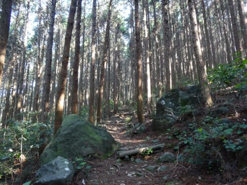 山歩き