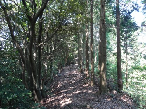 Dsc07861_2 荒平山へ