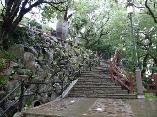 Dsc07976 トックリの木