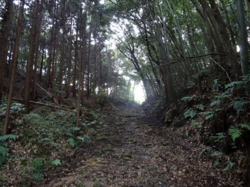 Dsc08403 赤松坂
