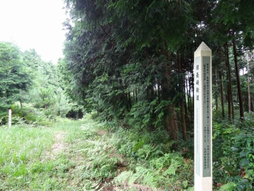 Dsc08477 大村街道