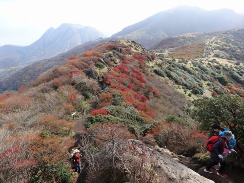 Dsc08683 沓掛山付近の紅葉