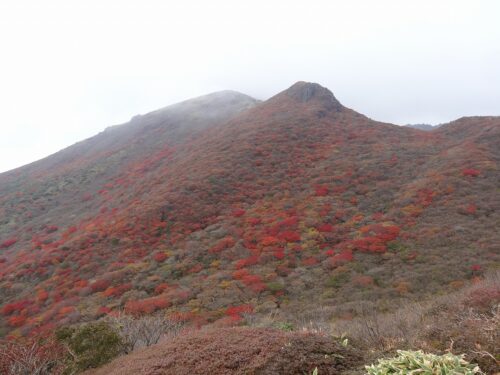 Dsc08687 星生山付近の紅葉