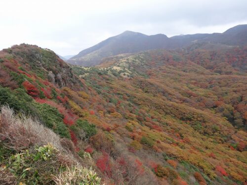 Dsc08766 紅葉