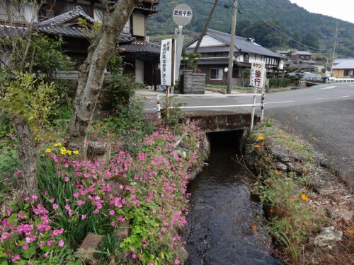 小川とお花
