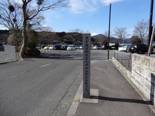 箱根駅伝往路ゴール